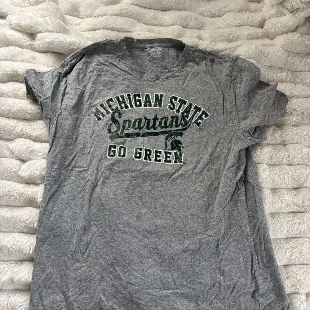 Gray Michigan State Spartans T-Shirt